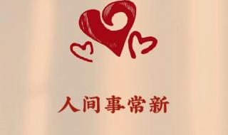 兔年高质量祝福文案 兔年高质量祝福文案