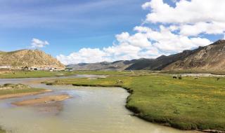 双流机场航班查询